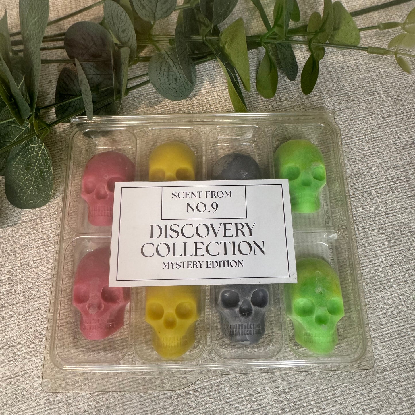 Discovery Collection – Skull Wax Melts