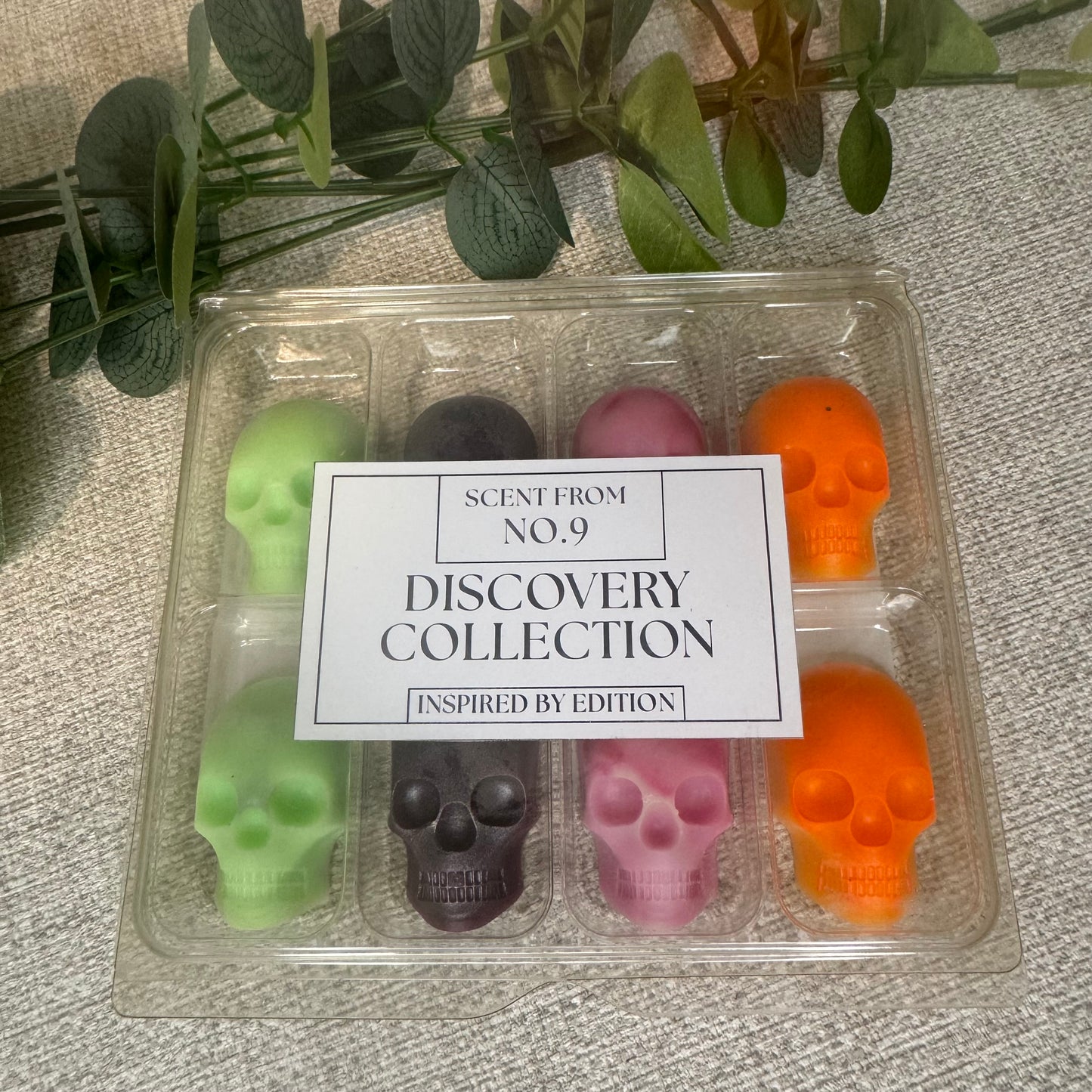 Discovery Collection – Skull Wax Melts