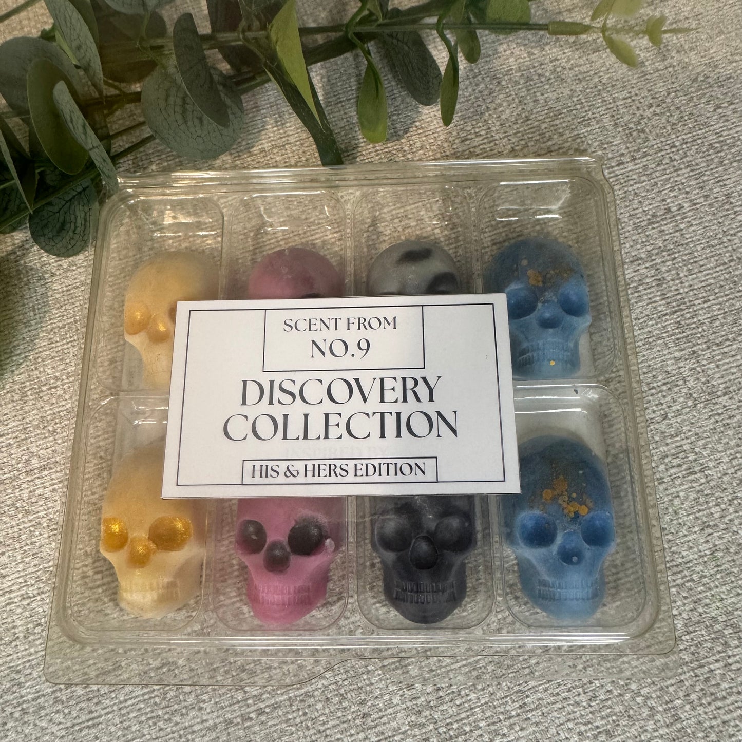 Discovery Collection – Skull Wax Melts
