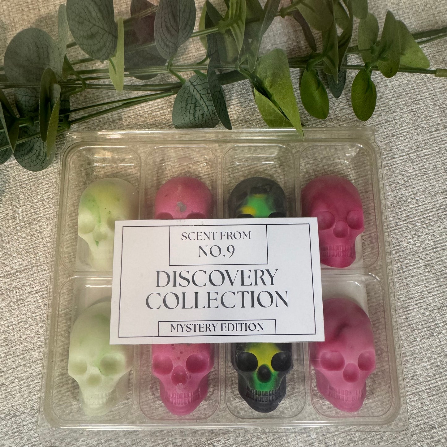 Discovery Collection – Skull Wax Melts